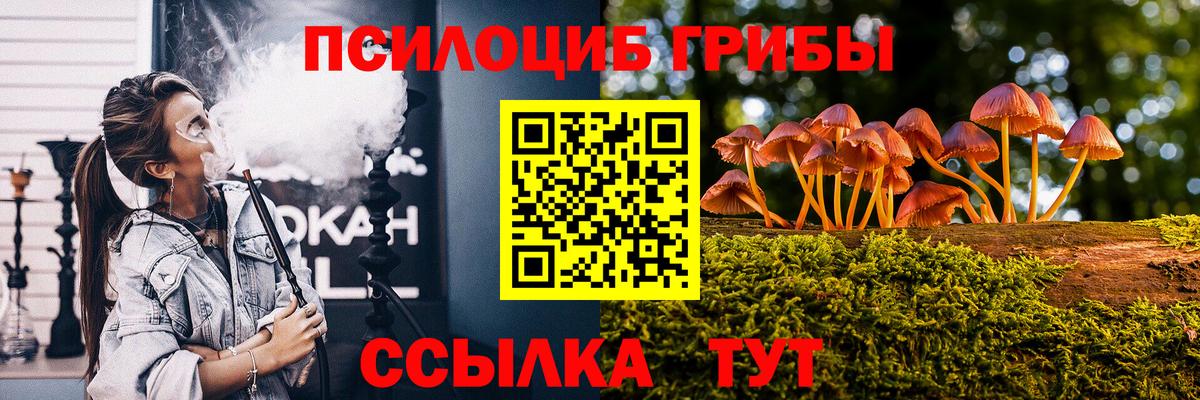 Новодвинск  Галлюциногенные грибы GOLDEN TEACHER  Вход с VPN 