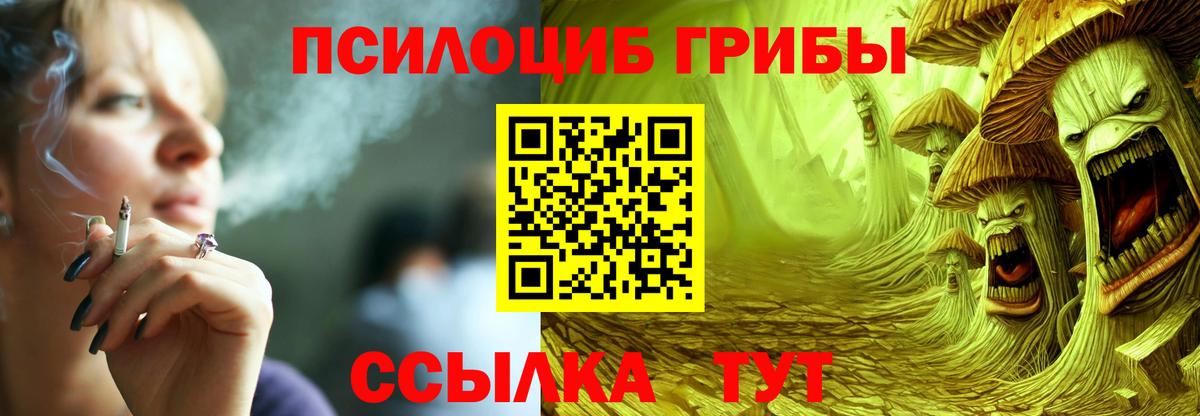 Меф Новодвинск